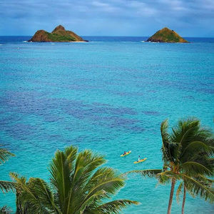 Meet your Posher, Sheila